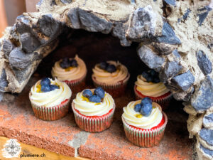 Read more about the article Blaubeere & Passionsfrucht Cupcakes