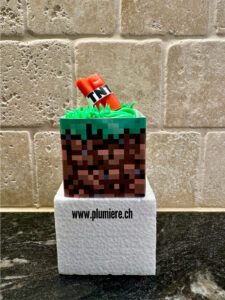 Read more about the article Minecraft Cupcakes | Küchlein